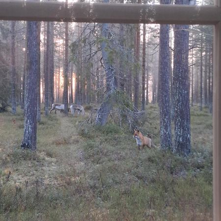 Yllaes Nilimaja Apartamento Ylläsjärvi Exterior foto