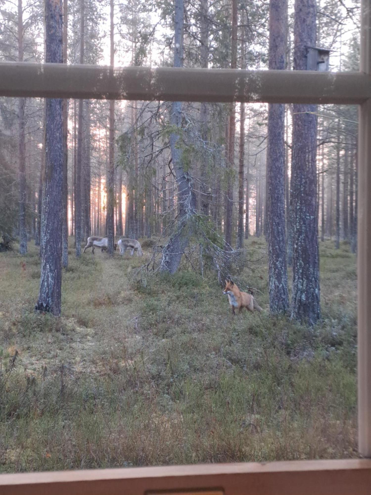 Yllaes Nilimaja Apartamento Ylläsjärvi Exterior foto